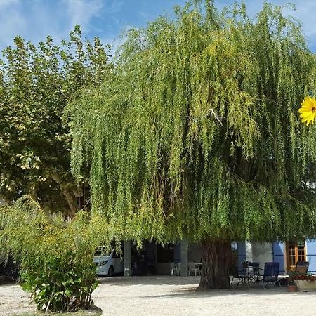 Dreams Of Provence Guest House Courthezon Ngoại thất bức ảnh