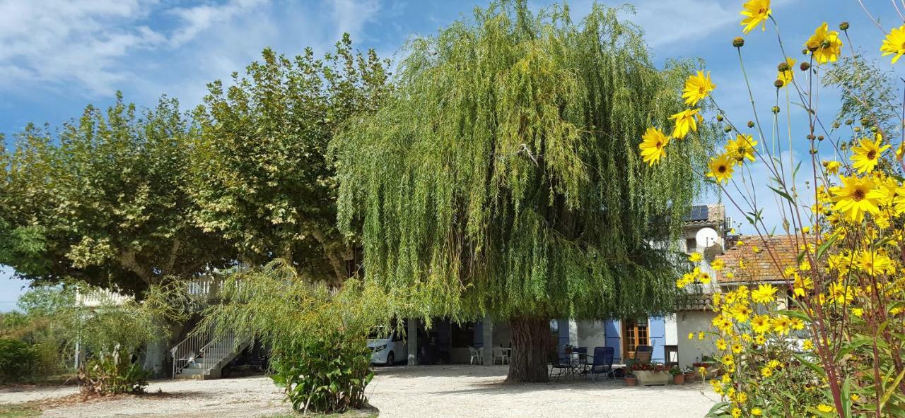 Dreams Of Provence Guest House Courthezon Ngoại thất bức ảnh